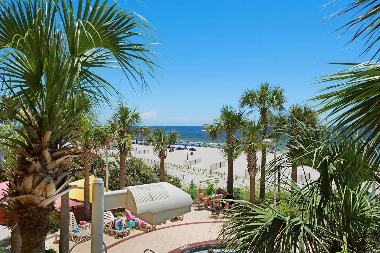 Calypso 1-203 East Lägenhet Panama City Beach