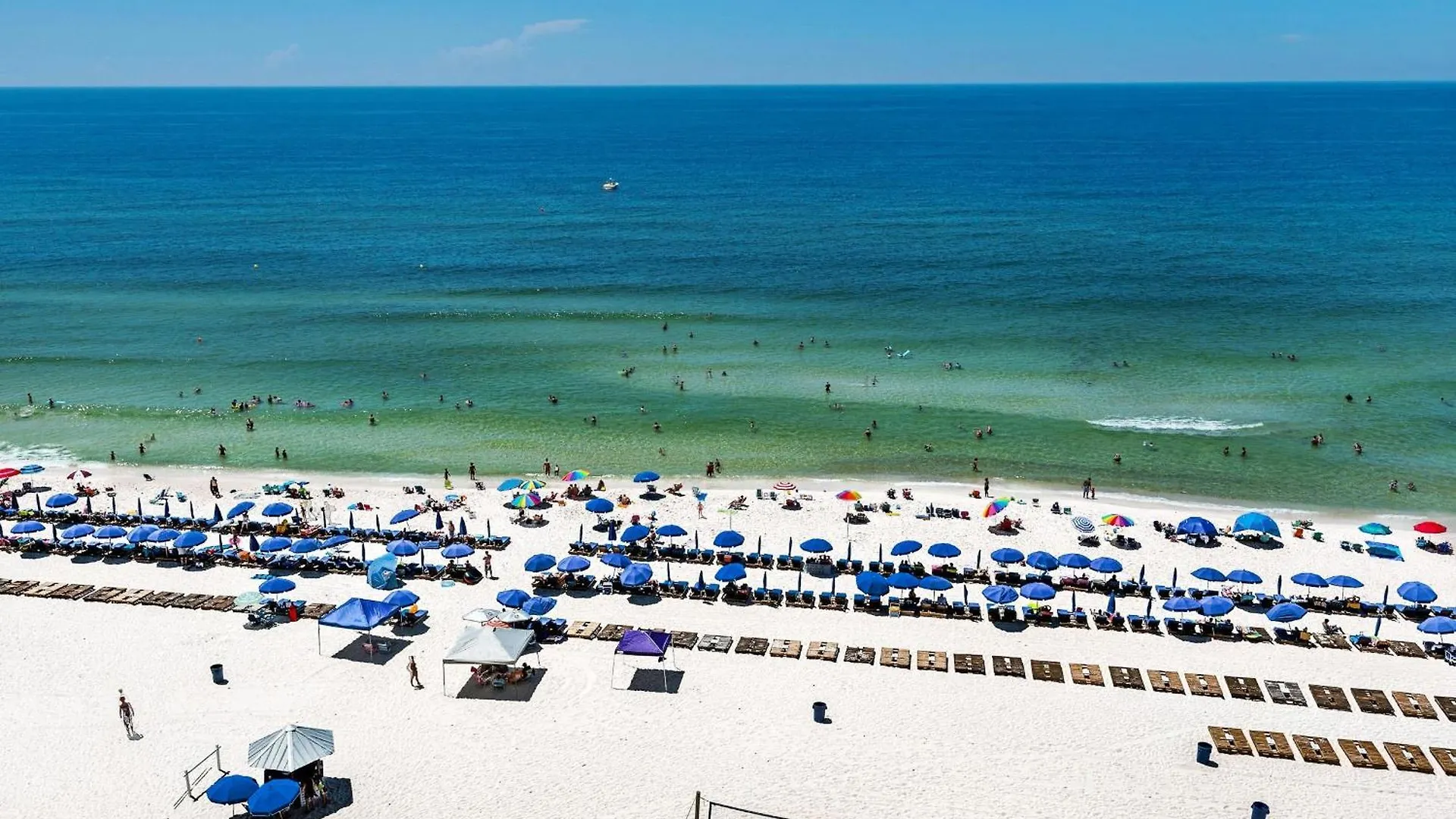 Calypso 1-203 East Lägenhet Panama City Beach