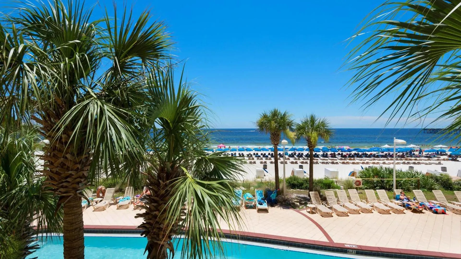 Calypso 1-203 East Lägenhet Panama City Beach USA