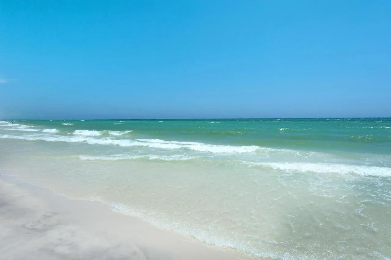 Calypso 1-203 East Apartment Panama City Beach