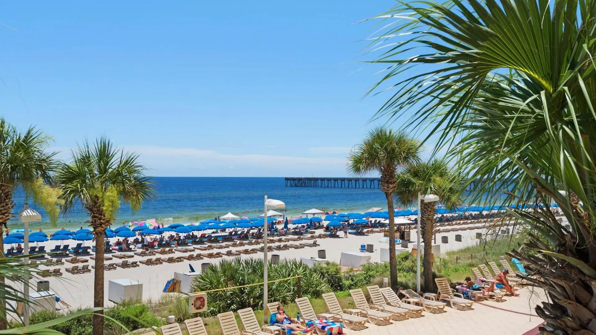 Calypso 1-203 East Apartment Panama City Beach United States